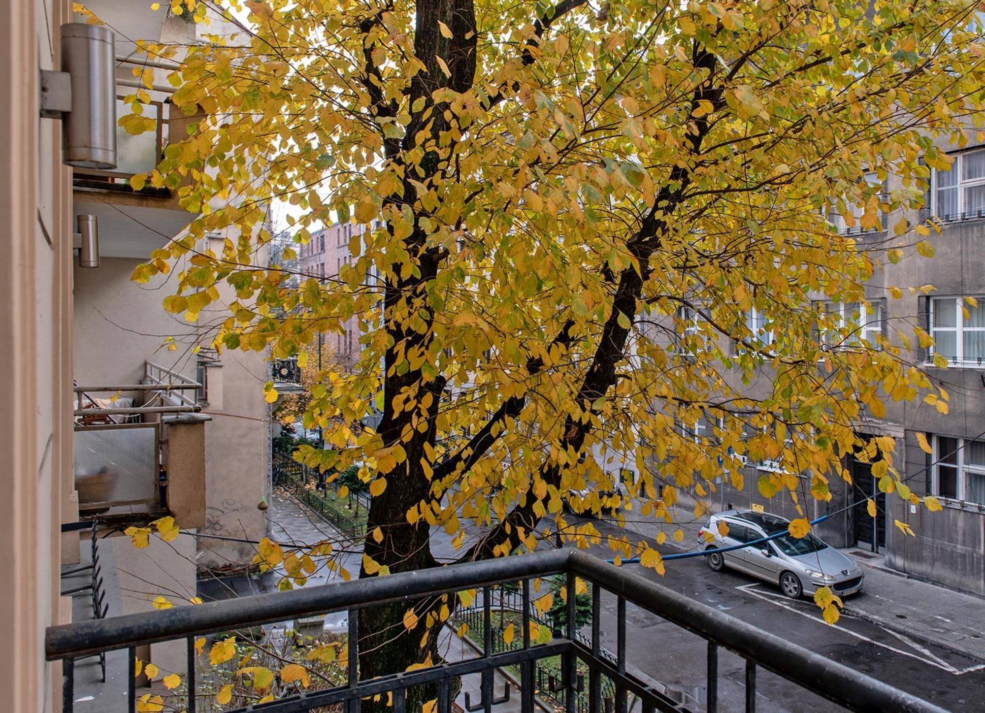 3D Wygoda Apartamenty Kraków Værelse billede